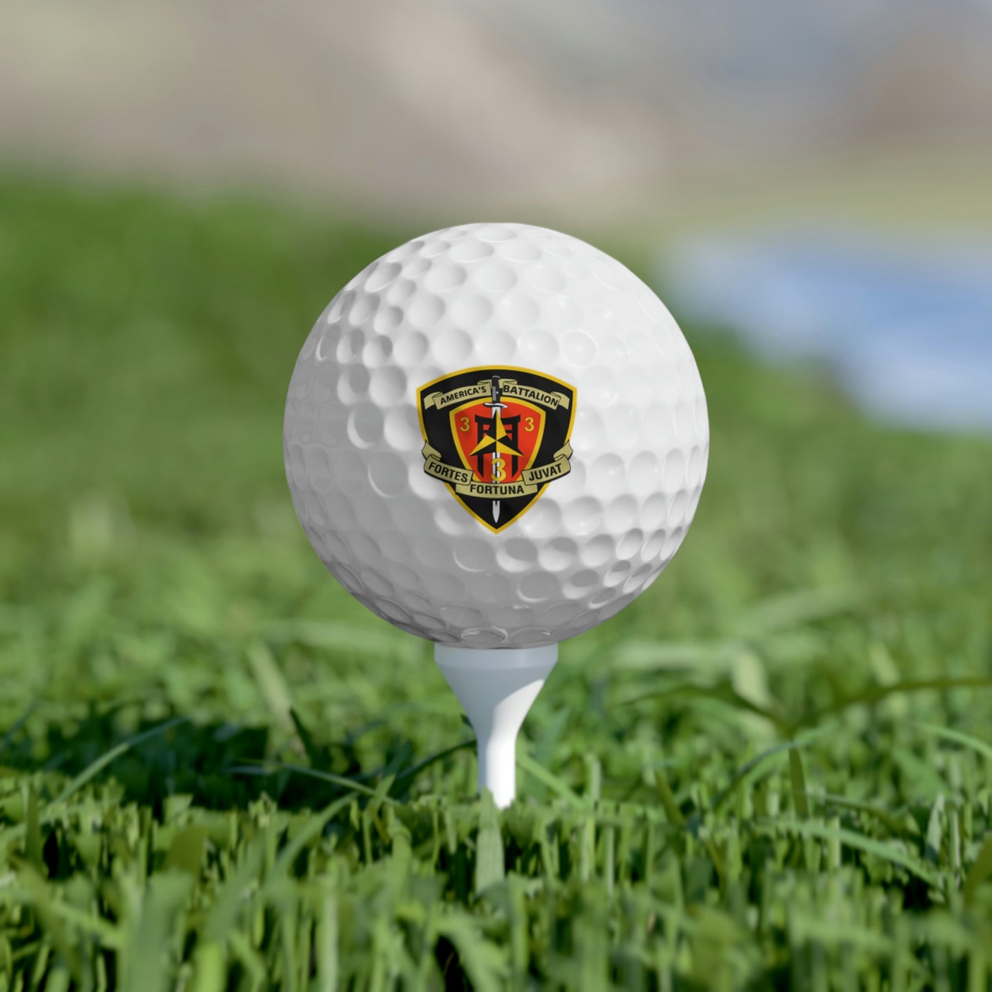 Logo Golf Balls, 6pcs